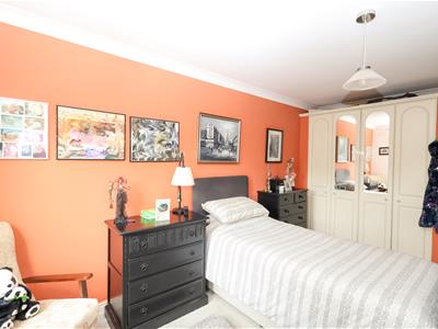 Picture 7